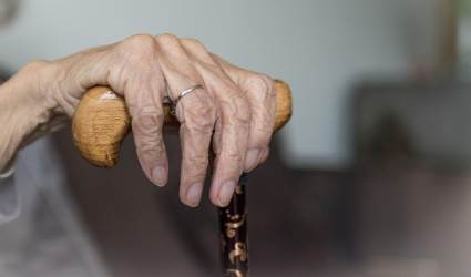 Women Who Walked Before Me category on Siyahi